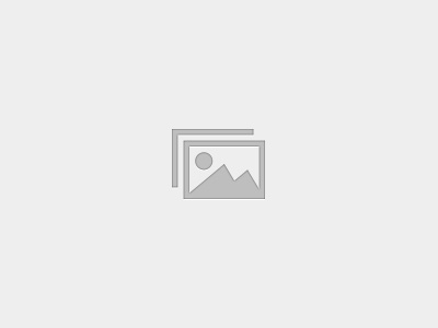 Rhythmic Movement Training – Mastering RMTi (80109)